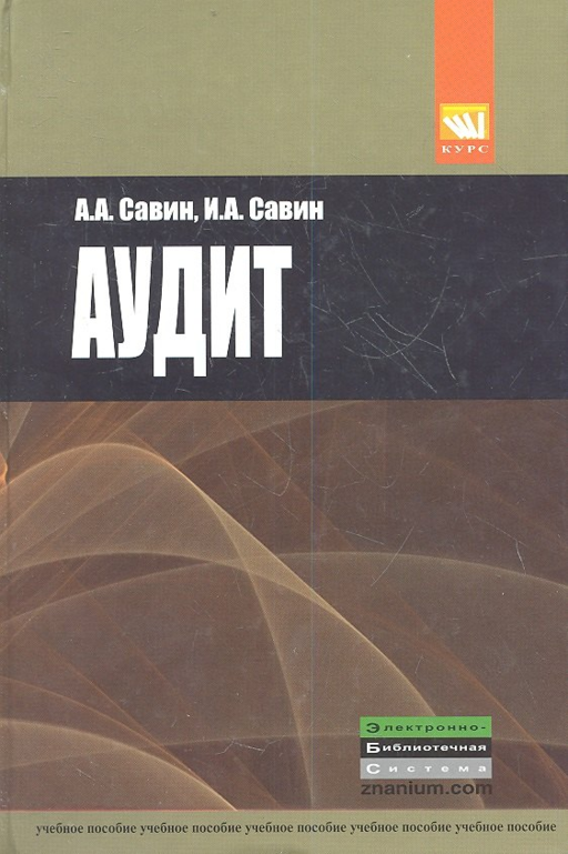 Аудит Уч. пос. (Савин)