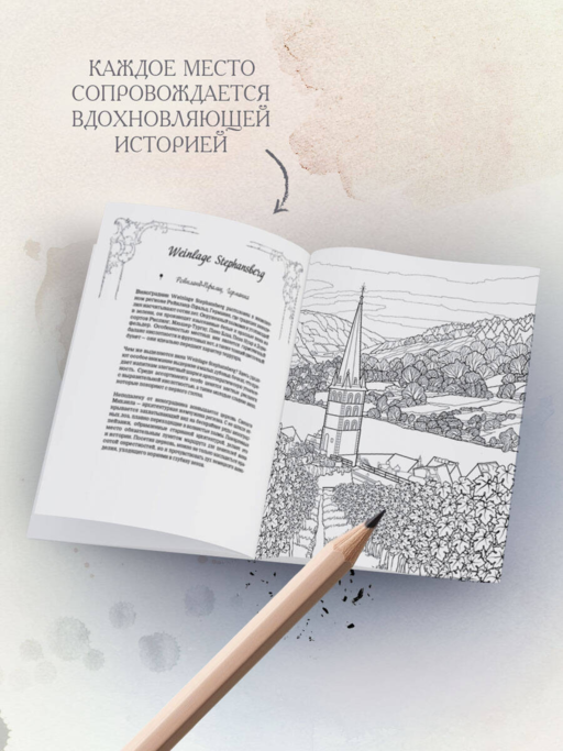 Солнечные виноградники. Раскраски для интровертов
