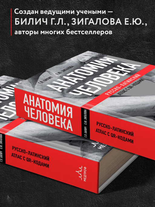 Анатомия человека: Русско-латинский атлас с QR-кодами на цветные изображения