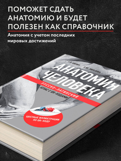 Анатомия человека: Русско-латинский атлас с QR-кодами на цветные изображения