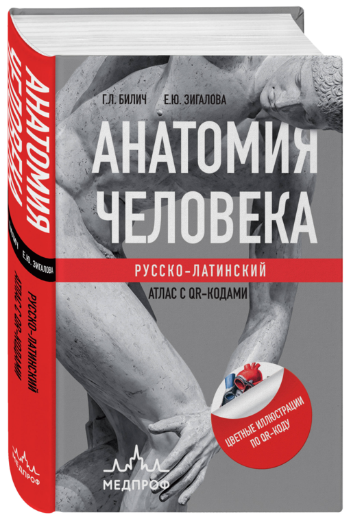 Анатомия человека: Русско-латинский атлас с QR-кодами на цветные изображения