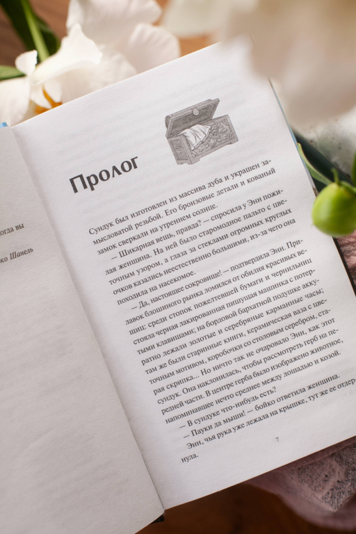 . Книжная деревушка в Шотландии. Лето надежд Катарина Херцог