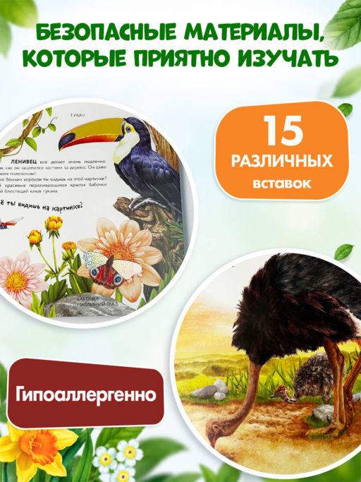 Дикие животные
