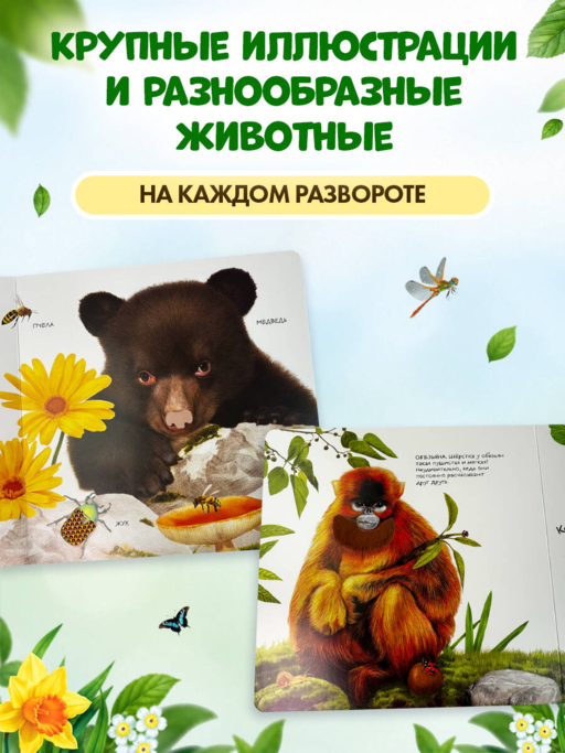 Дикие животные