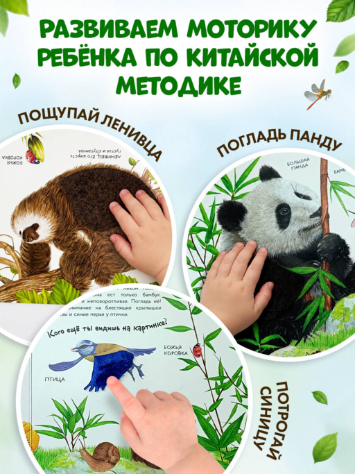 Дикие животные