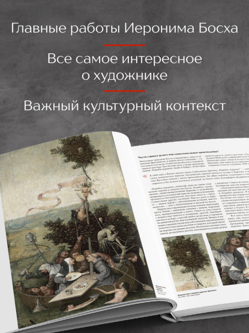 Босх. Крупным планом