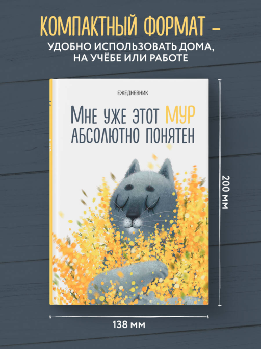 Мне уже этот МУР абсолютно понятен. Ежедневник недатированный (А5, 72 л.)