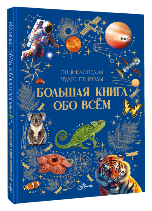 Большая книга обо всём