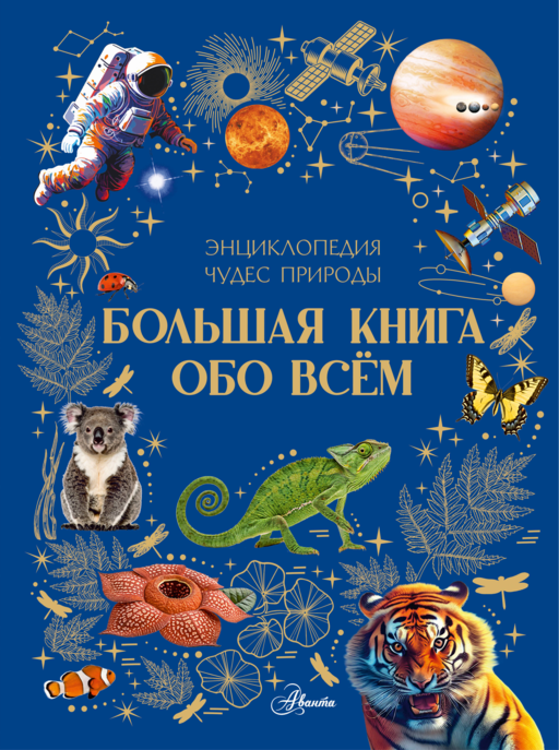 Большая книга обо всём