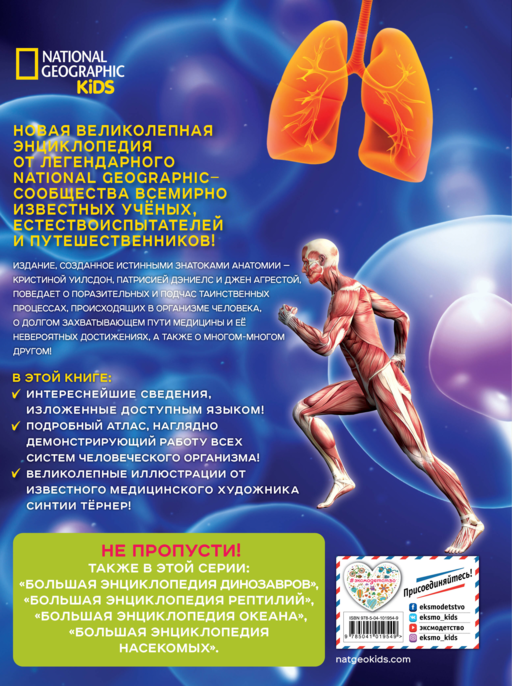 Большая энциклопедия. Тело человека