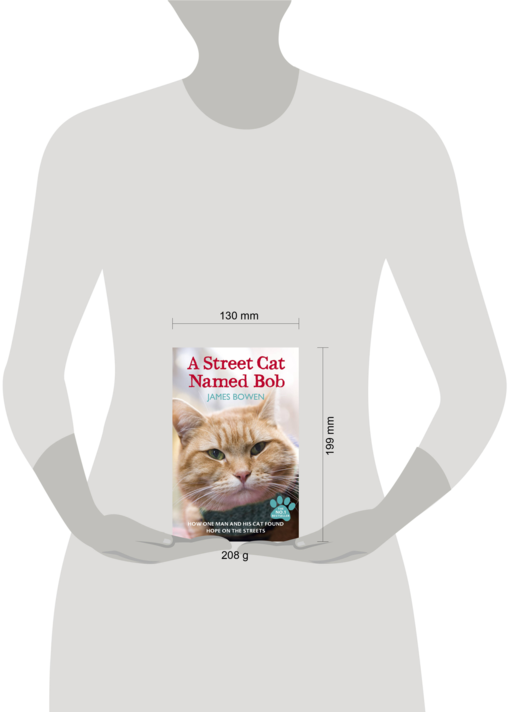 Street Cat Named Bob, A, Bowen, James