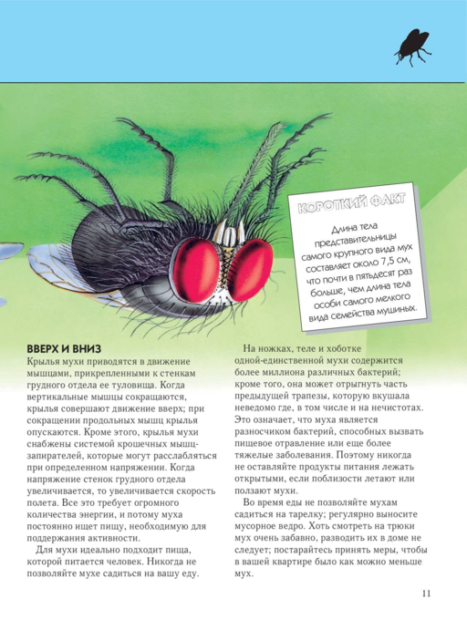 Насекомые. Полная энциклопедия