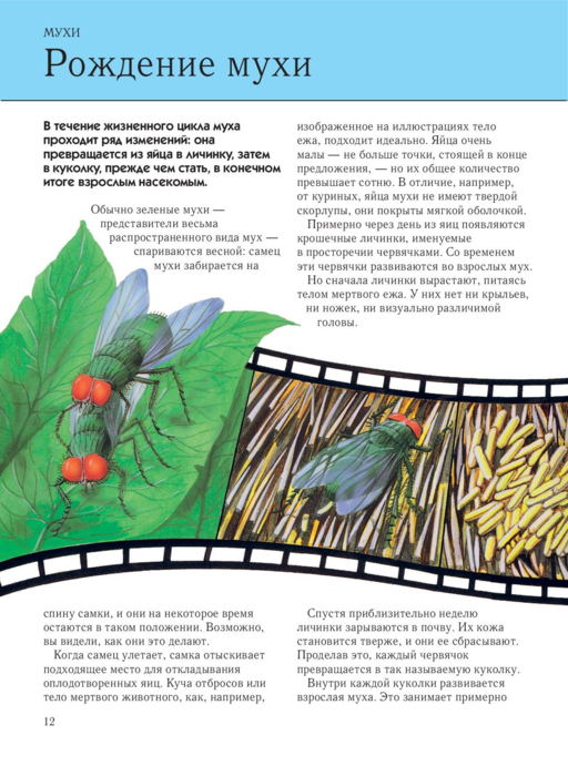 Насекомые. Полная энциклопедия
