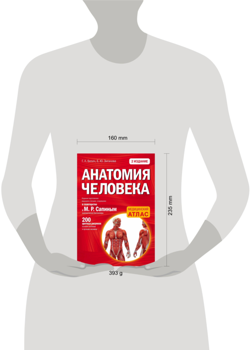Анатомия человека (цветной атлас): 2 издание