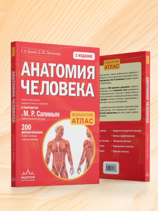 Анатомия человека (цветной атлас): 2 издание