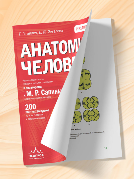 Анатомия человека (цветной атлас): 2 издание