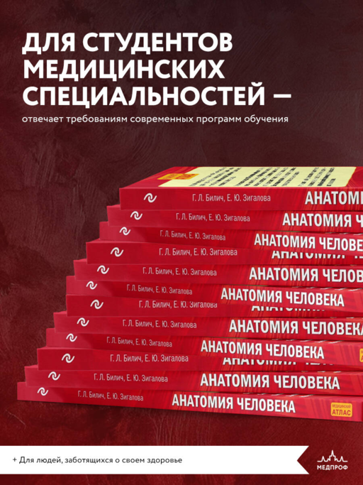 Анатомия человека (цветной атлас): 2 издание