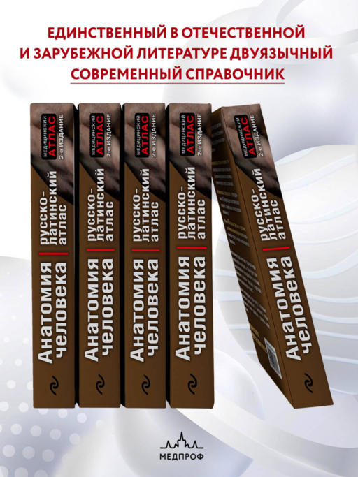 Анатомия человека:рус-лат.атл.2-е изд