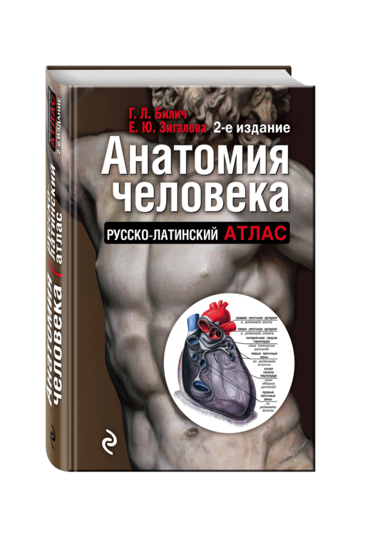 Анатомия человека:рус-лат.атл.2-е изд