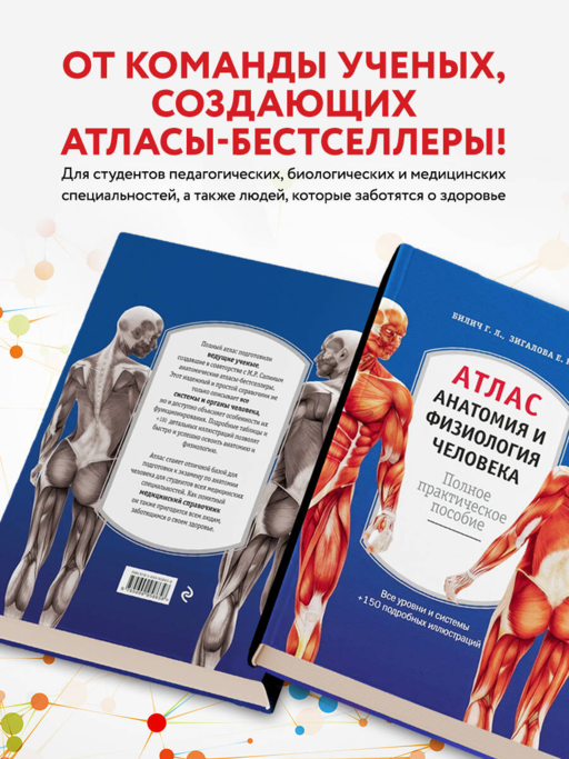Атлас. Анатомия и физиология человека: полное практическое пособие. 2-е издание, дополненное