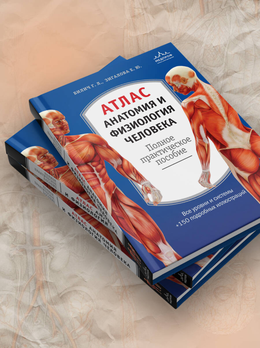 Атлас. Анатомия и физиология человека: полное практическое пособие. 2-е издание, дополненное