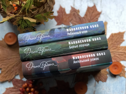 Наполеонов обоз. Книга 1: Рябиновый клин