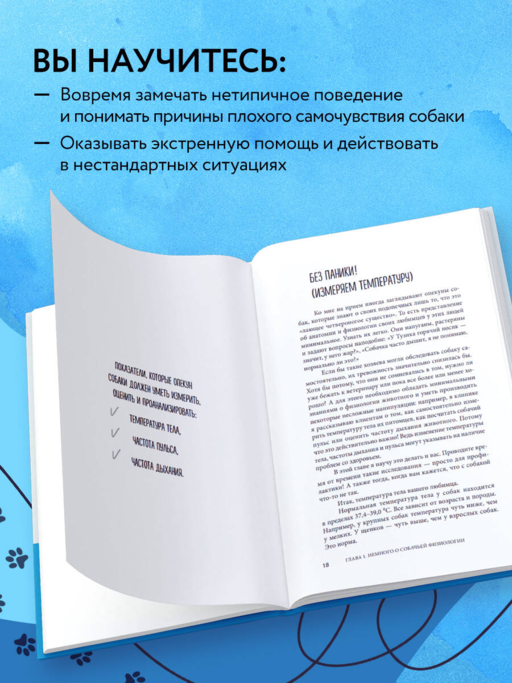 Сам себе ветеринар. Как оказать первую помощь собаке и не пропустить симптомы болезни