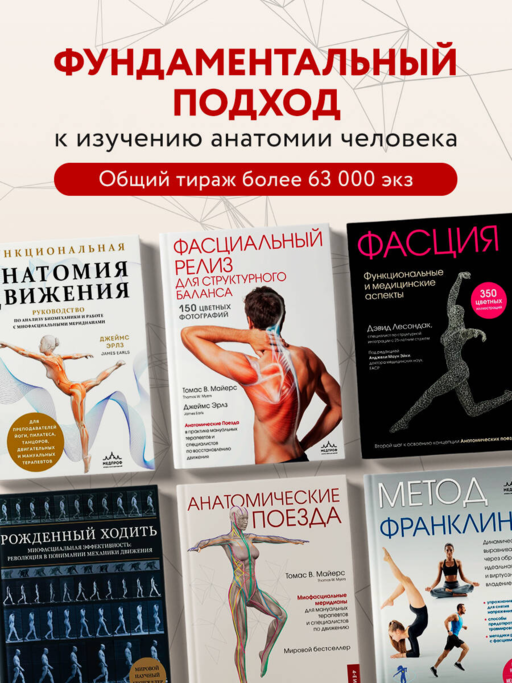Фасциальный релиз для структурного баланса