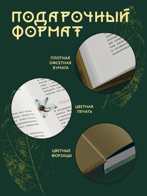 Wabi Sabi. Японские секреты истинного счастья в неидеальном мире