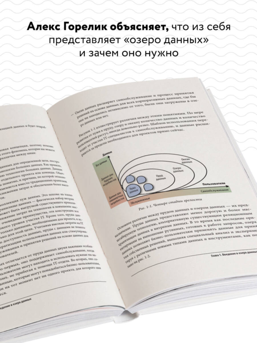 Корпоративное озеро больших данных. Новый подход к использованию Big Data и Data Science в бизнесе
