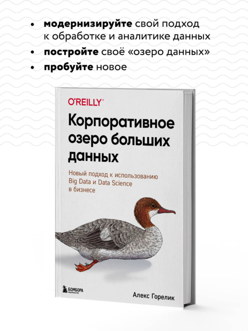 Корпоративное озеро больших данных. Новый подход к использованию Big Data и Data Science в бизнесе