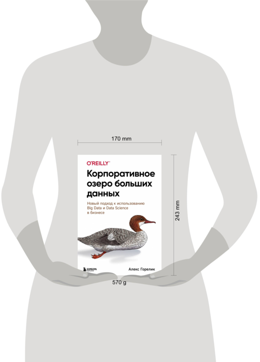 Корпоративное озеро больших данных. Новый подход к использованию Big Data и Data Science в бизнесе