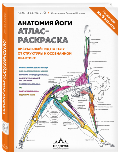 Анатомия йоги: атлас-раскраска. Визуальный гид по телу — от структуры к осознанной практике