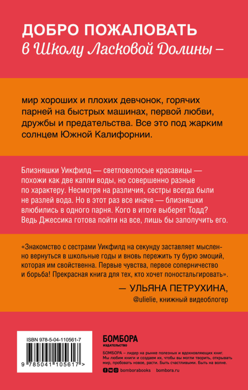 Школа в Ласковой Долине. Парень моей сестры (книга №1)