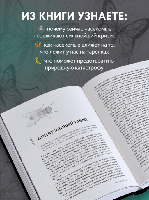 Закат и падение крошечных империй. Почему гибель насекомых угрожает существованию жизни на планете