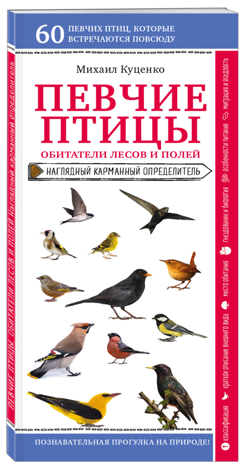 Певчие птицы. Обитатели лесов и полей