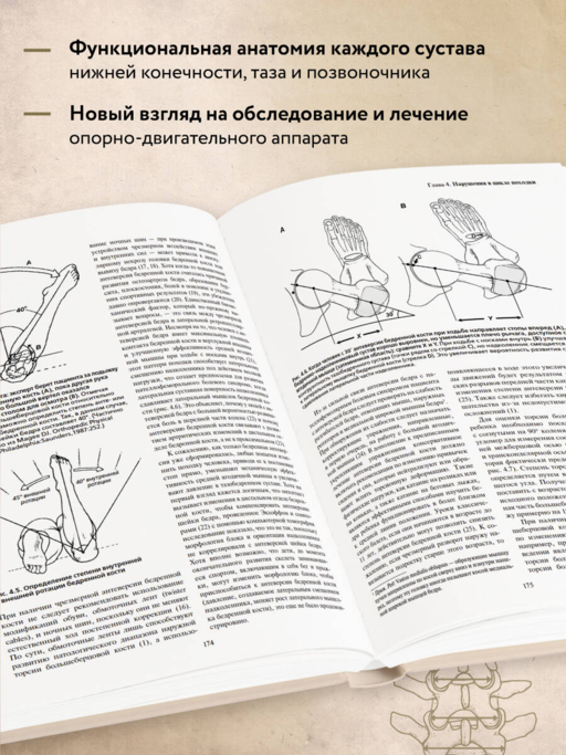 Локомоция человека. Протокол обследования, оценка, лечение и профилактика травм, связанных с циклом походки