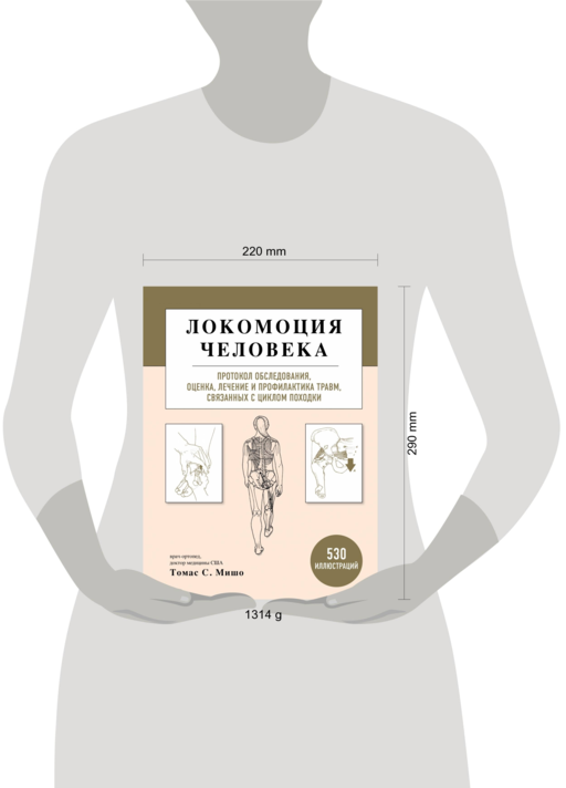 Локомоция человека. Протокол обследования, оценка, лечение и профилактика травм, связанных с циклом походки