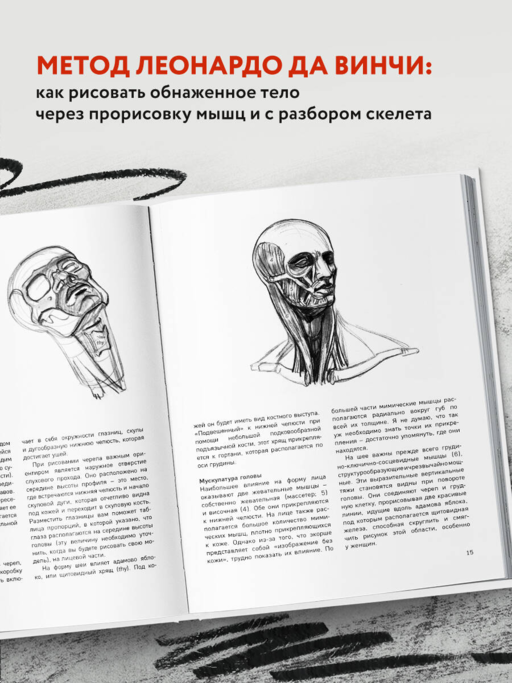 МОРФО. Анатомия для художников