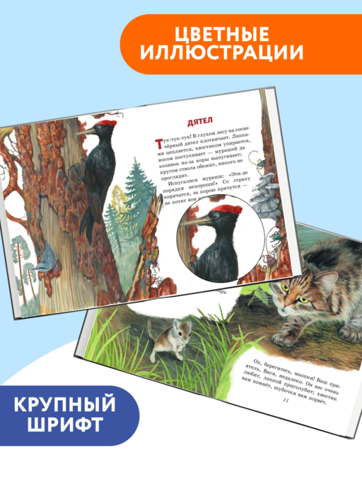 Любимые сказки и рассказы