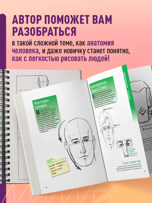 Учимся рисовать человеческие пропорции