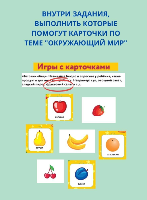 Окружающий мир. Книга-лото с карточками