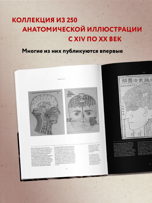 Анатомика. От ужасного до великого: человеческое тело в искусстве