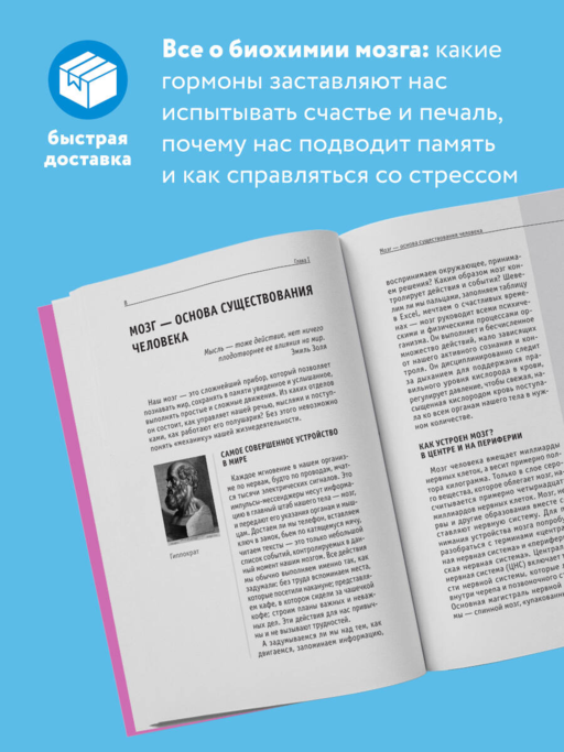 Гормоны и химия мозга. Знания, которые не займут много места