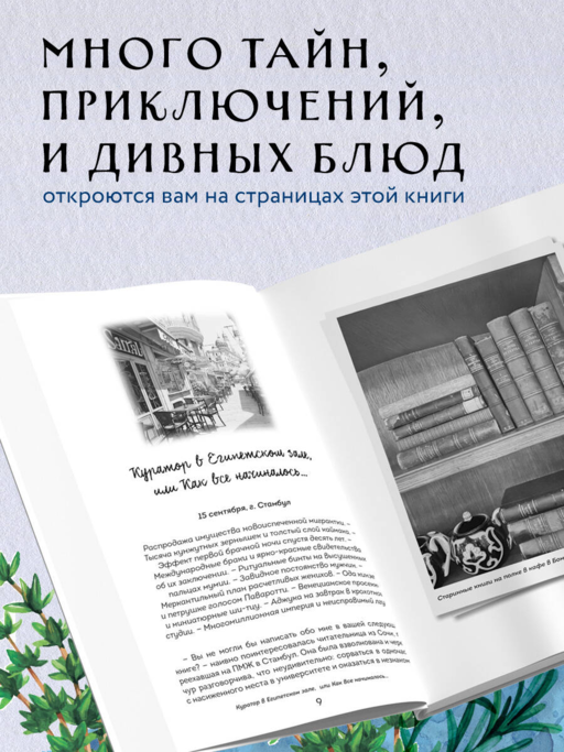 Любовь по-стамбульски. Сердечные авантюры в самом гастрономическом городе