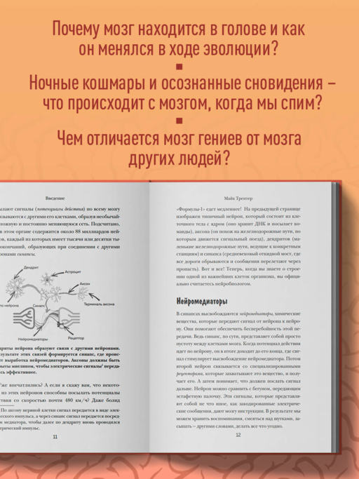 МОЗГ. Советы ученого, как по максимуму использовать самый совершенный в мире орган