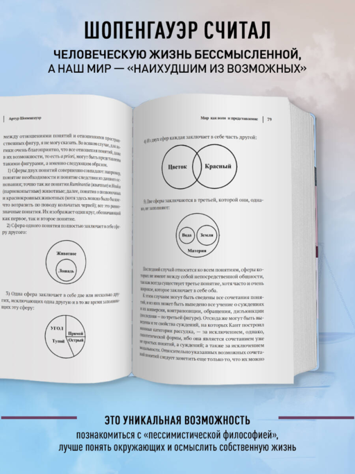 Артур Шопенгауэр. Мир как воля и представление. Афоризмы житейской мудрости. Эристика, или Искусство побеждать в спорах (новое оформление)