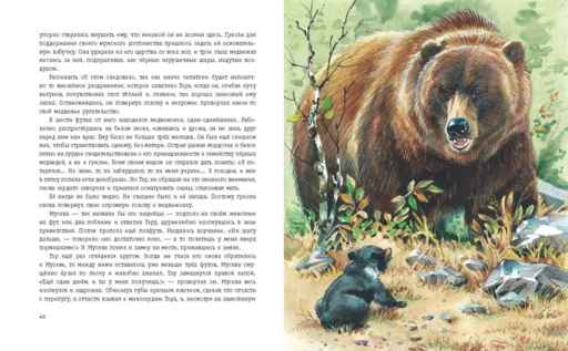 Гризли (ил. В. Канивца)