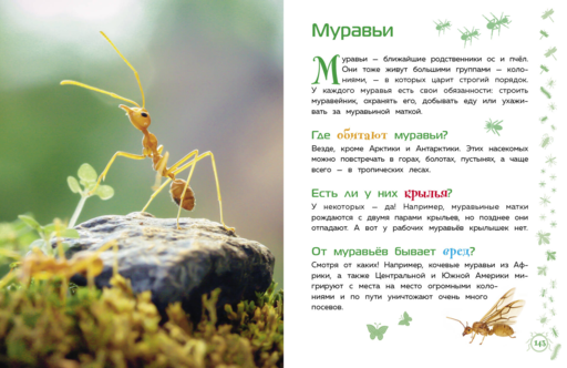 Животные. Большая детская энциклопедия