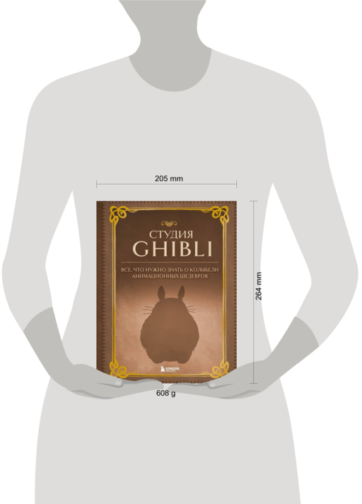 Студия Ghibli. Все, что нужно знать о колыбели анимационных шедевров